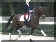 Horse_Ehrentusch-_3big.jpg (43408 bytes)