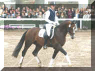 Horse_Lugato-_3big.jpg (48750 bytes)