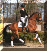 Valdiviani canter.jpg (117995 bytes)