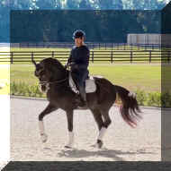 Pic19565.jpeg (344145 bytes)