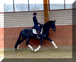 EscaHit trot2.jpeg (175815 bytes)