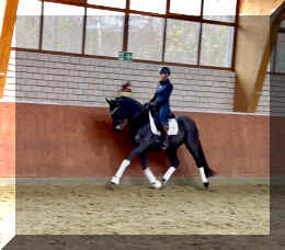 EscaHit trot6.jpeg (175714 bytes)