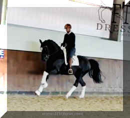 Fuerst Brentano HW canter4 new..jpeg (107785 bytes)