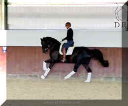 Fuerst Brentano HW canter5 new..jpeg (119115 bytes)