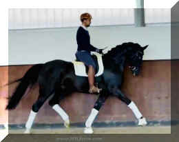 Fuerst Brentano HW trot2 new.jpeg (121543 bytes)