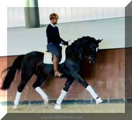 Fuerst Brentano HW trot3 new.jpeg (113227 bytes)