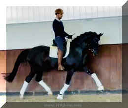 Fuerst Brentano HW trot5 new.jpeg (119236 bytes)