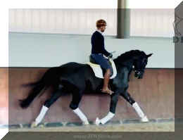 Fuerst Brentano HW trot6 new.jpeg (140312 bytes)