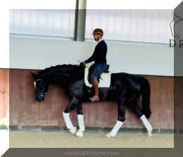 Fuerst Brentano HW walk 2 new.jpeg (115185 bytes)