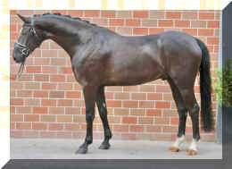 Stand new.jpg (392772 bytes)