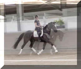 Fuerst Brentano HW trot4.jpeg (136135 bytes)