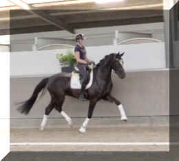 Fuerst Brentano HW trot8.jpeg (142445 bytes)