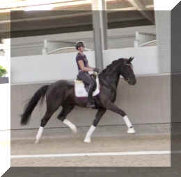 Fuerst Brentano HW trot9.jpeg (143063 bytes)