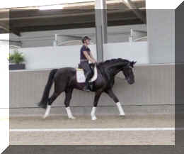 Fuerst Brentano HW walk.jpeg (204304 bytes)