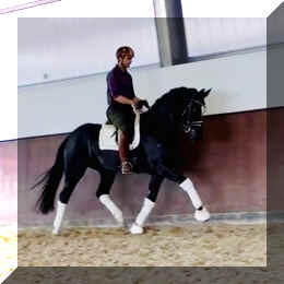 FB trot new _3.jpeg (147305 bytes)