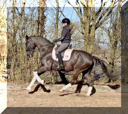 John Jameson HW canter4.jpeg (715099 bytes)