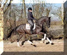 John Jameson HW canter6.jpeg (652655 bytes)
