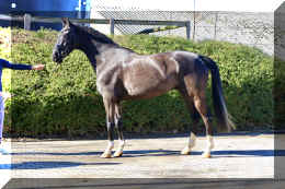 John Jameson HW stand2.jpeg (5989459 bytes)