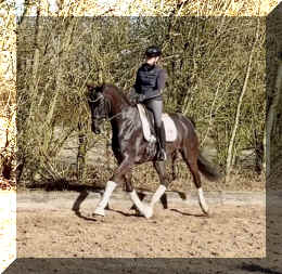 John Jameson HW trot4.jpeg (372752 bytes)