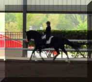 Satisfactin HW March  2026.jpg (87718 bytes)