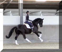 Secret Dream HW canter10.jpeg (212455 bytes)