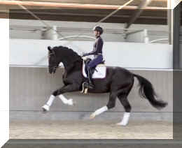 Secret Dream HW canter2.jpeg (231387 bytes)