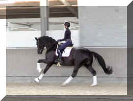 Secret Dream HW canter4.jpeg (262541 bytes)