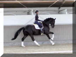 Secret Dream HW canter9.jpeg (221755 bytes)