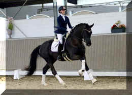 Secret Dream HW canter extra1.jpeg (296763 bytes)