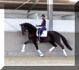 Secret Dream HW trot10.jpeg (200567 bytes)