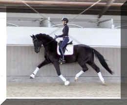 Secret Dream HW trot11.jpeg (211451 bytes)