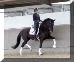 Secret Dream HW trot2.jpeg (190165 bytes)