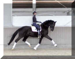 Secret Dream HW trot3.jpeg (283088 bytes)