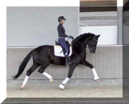 Secret Dream HW trot5.jpeg (251069 bytes)