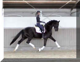 Secret Dream HW trot6.jpeg (278280 bytes)