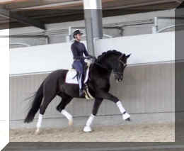Secret Dream HW trot7.jpeg (230727 bytes)
