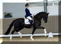 Secret Dream HW trot extra1.jpeg (272878 bytes)
