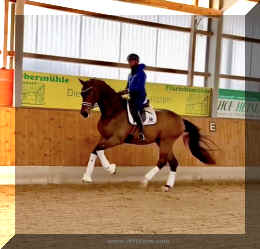 Secret Spice HW canter 1.jpeg (265885 bytes)