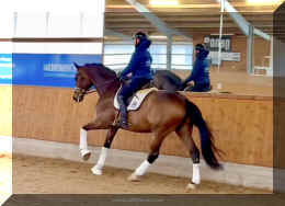 Secret Spice HW canter 3.jpeg (342886 bytes)