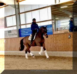 Secret Spice HW canter 4.jpeg (208233 bytes)