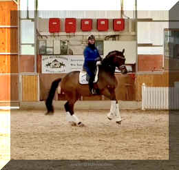 Secret Spice HW canter 7.jpeg (274591 bytes)