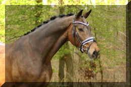 Secret Spice HW head new 3.jpeg (285033 bytes)