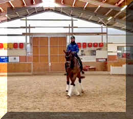 Secret Spice HW trot 10.jpeg (246705 bytes)