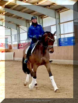 Secret Spice HW trot 12.jpeg (233378 bytes)