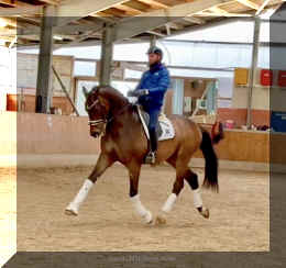 Secret Spice HW trot 13.jpeg (321004 bytes)