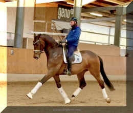 Secret Spice HW trot 14.jpeg (319565 bytes)