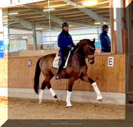 Secret Spice HW trot 5.jpeg (298608 bytes)