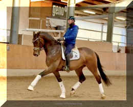 Secret Spice HW trot 7.jpeg (330153 bytes)