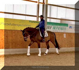 Secret Spice HW walk 2.jpeg (334907 bytes)