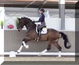 Secret Spice HW canter2.jpeg (261527 bytes)